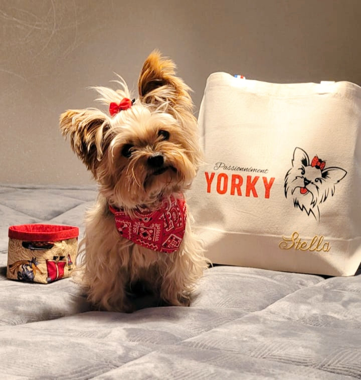 YORKY Attitude