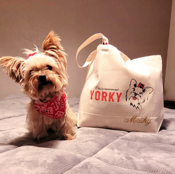 YORKY Attitude